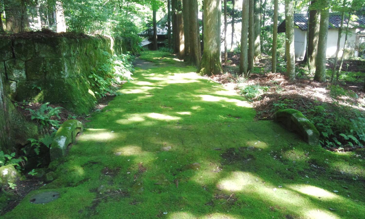 マーライオンとチッティ　シンガポール