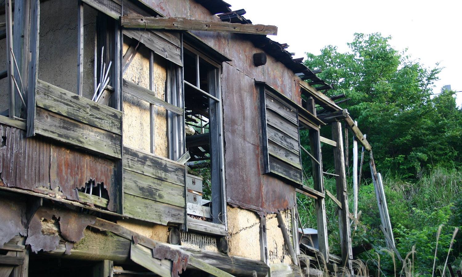 フラミンゴ　グルーン