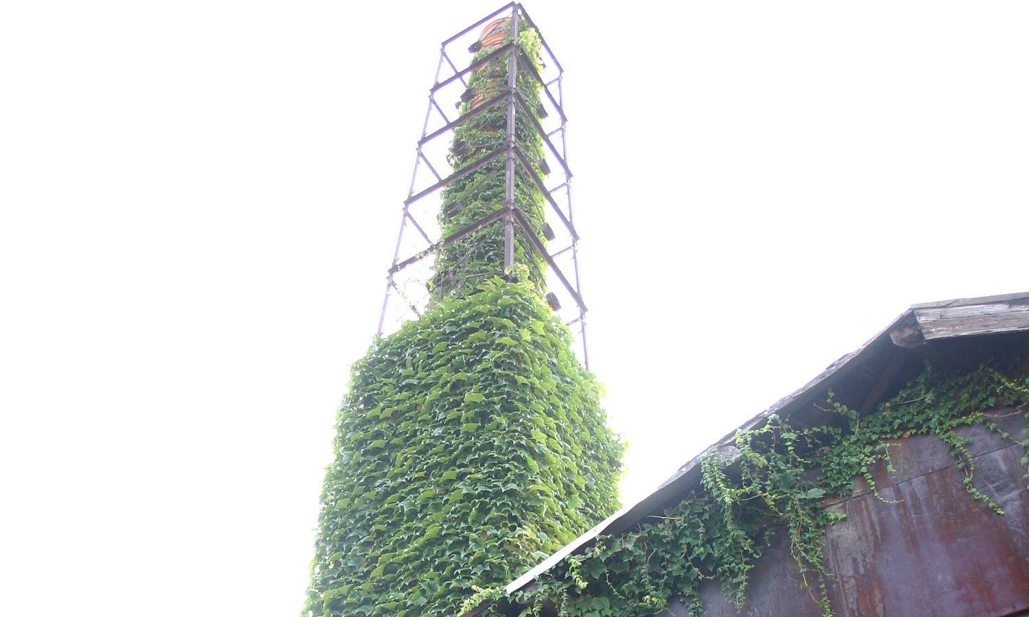 氷河の漂う氷山