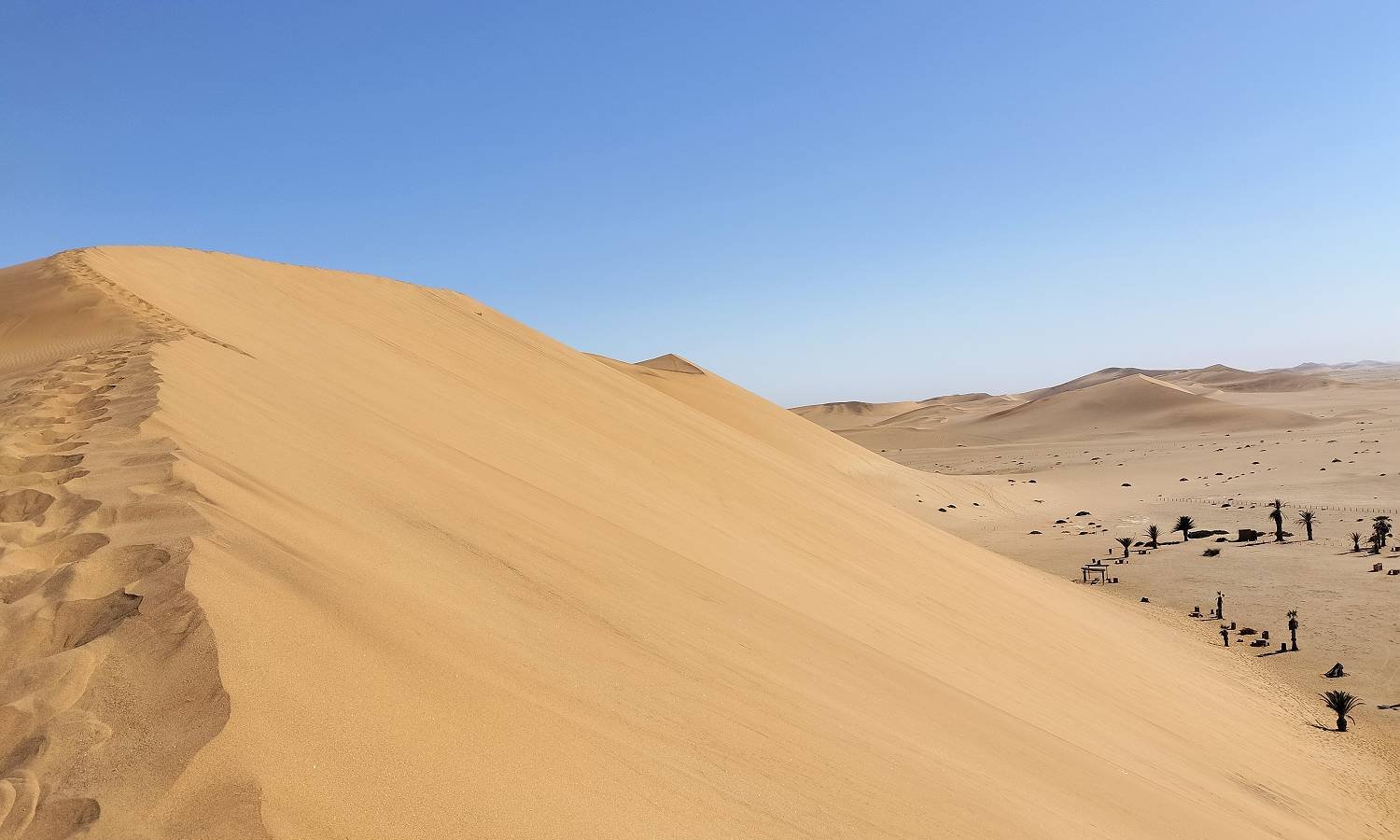 ナミビアのナミブ砂漠　Dune7