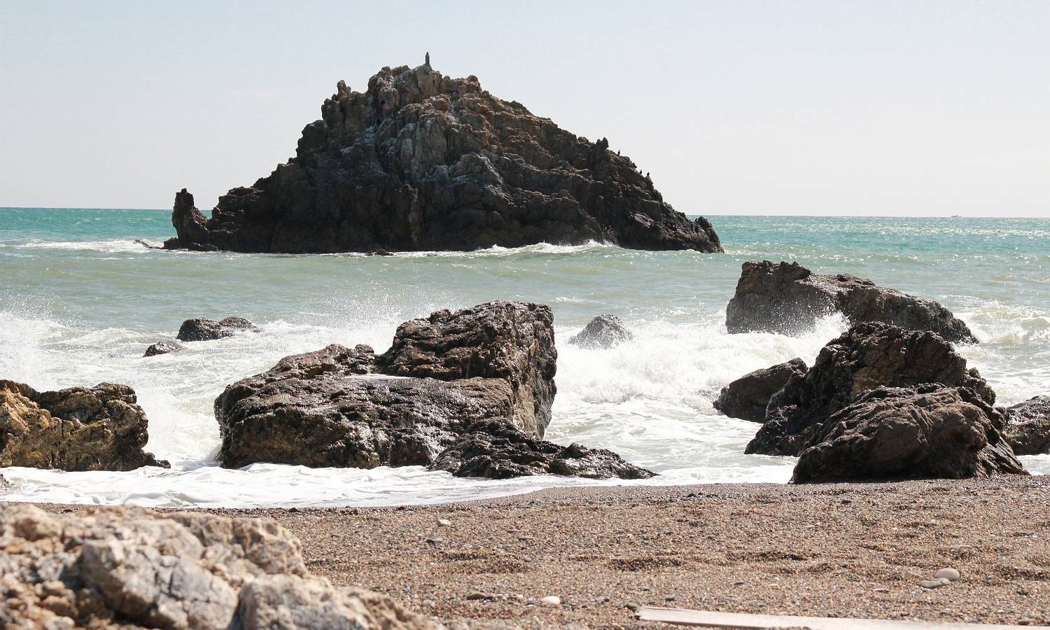 フラミンゴ　グルーン