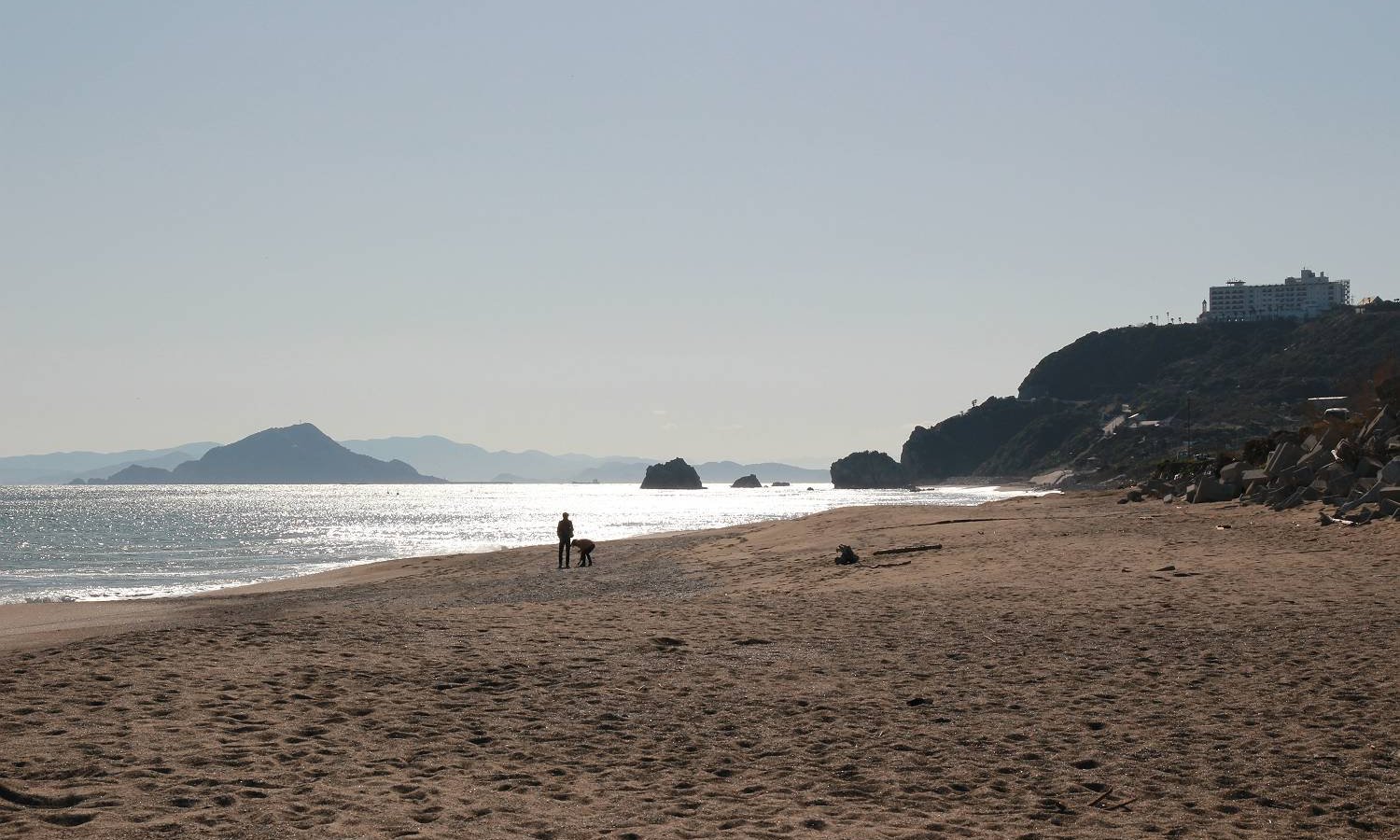 ナミビアのナミブ砂漠　Dune7