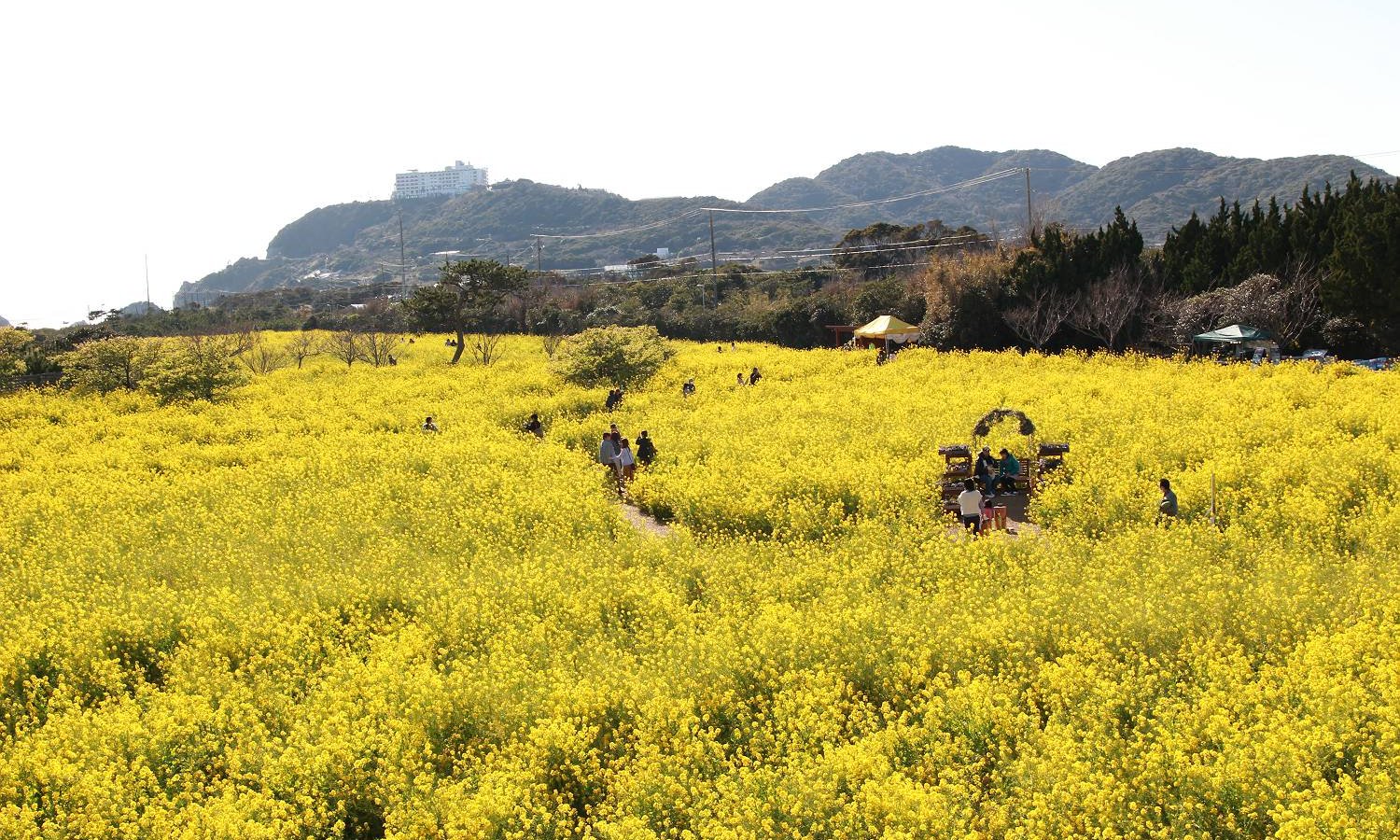 氷河の漂う氷山