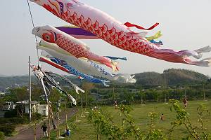 ���Ԉ�Y-���e�����@�����̂ڂ�Q