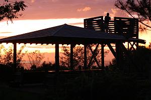 ���Ԉ�Y-�����R�����W�]��